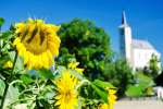 Blumen2